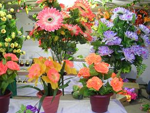 flowers - photographed at Mysore floral show