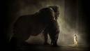 king kong - king kong