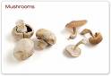 mushrooms - mushrooms