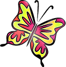 butterfly - very beautiful
