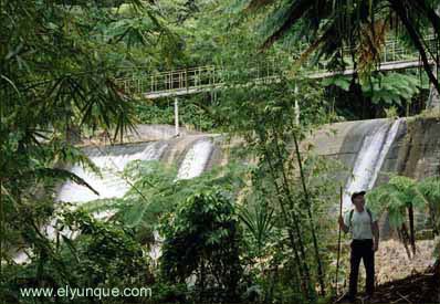 ICACOS, EL YUNQUE - PLACES FROM PUERTO RICO
