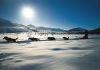WINTER - ..