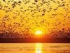 Sun rising - sun rising