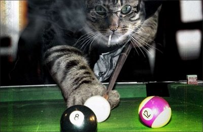 Pool Player Cat - Would you imagine if the world would have cats instead of men ? This is a preview of a bar :D