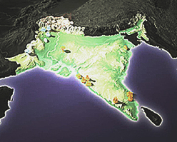 Coimbatore - coimbaore