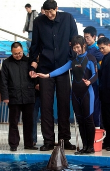 World's Tallest man - The long arms of the world's tallest man reached in and saved two dolphins by pulling out plastic from their stomachs, state media and an aquarium official said Thursday http://news.yahoo.com/s/ap/china_dolphins_talles t_man(link to story)