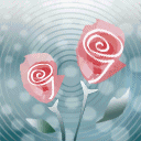 flowers - image of roses, my favorite flower