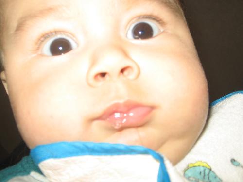 my little baby - this is a picture of my son, he is 5 months old today. I just love seeing every little thing that us humans learn.