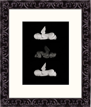 babies - babies