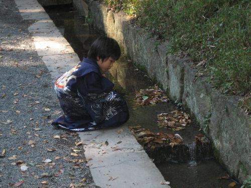 First time to the shrine  - On this day children wear traditional kimono and go to the shrine for the first time