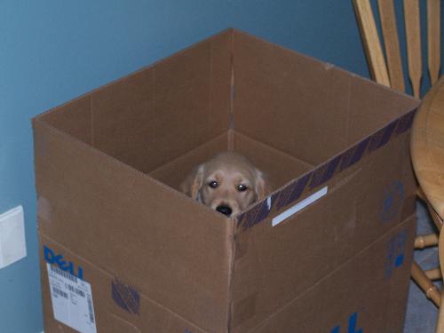 LET ME OUT !!! - Mason home for the first week.
