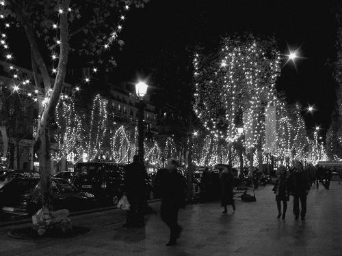 Christmas in Paris - on the Champs Elysées - The Champs elysées as if you were there ! One of a series taken whilst walking home from work.