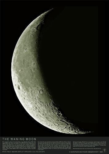moon - the moon is cool