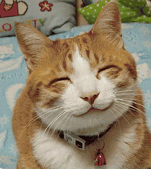hey, look at her smile! - really cutie!