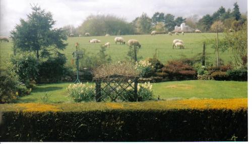 My Back Garden Taken From Bedroom Window - This is the view from my bedroom window, across my back garden to the field of sheep at the bottom.