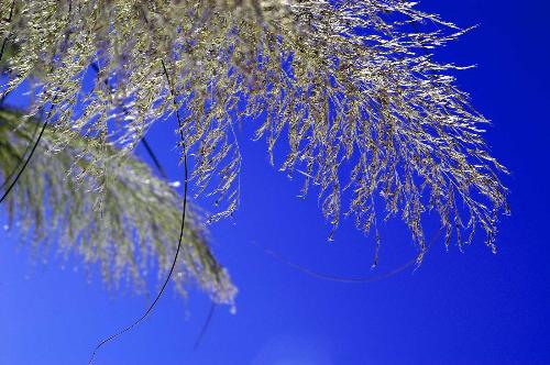 Blue sky - Beautiful blue sky...