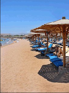 Sharm-El Sheik Beach - Sharm-El Sheik Beach