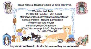 animal rescue - whiskers and tails