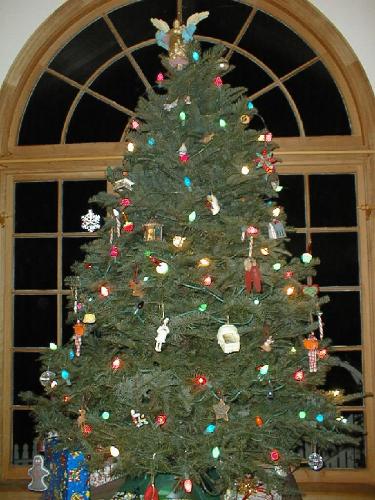 a christmas tree - just a christmas tree