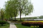 park - the century park