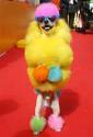 Fancy Poodle - wow now that's really different!
