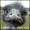 emu emo - funny lj icon