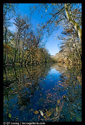 Wise Lake on a sunny day - a photo from Congaree National Park, South Carolina, USA