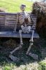 Waiting for the bus - I don't think the bus stops here anymore.