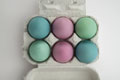 painted eggs - painted eggs