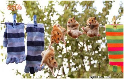 Team Work - Yeah!!! Thank you my friend.. U saved me :)