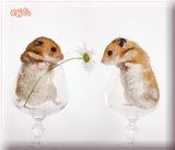 Friends - Will u be my friend?