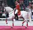 Lipizzaner Stallion - wonderful white horses that are born black I think and develop into powerful animals with styls and grace Lipizzaner Stallion - wonderful white horses that are born black I think and develop into powerful animals with styls and grace