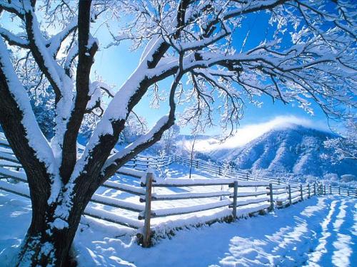 snow  - Beautiful view...