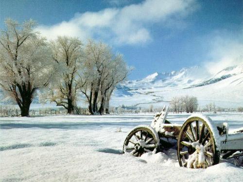 snow - Beautiful view...