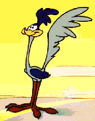Road Runner - Road Runner (Beep Beep)