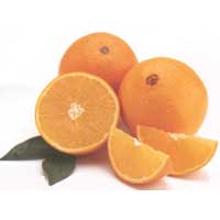 Oranges - Oranges