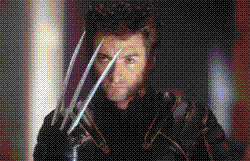 wolverine - hugh jackman as wolverine is puurrrfect