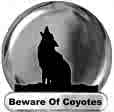 coyotes as pests - persistant wild coyotes are beautiful however they are a nuisance. In my area folks will show up with license in hand and ask permission if they can hunt this critters