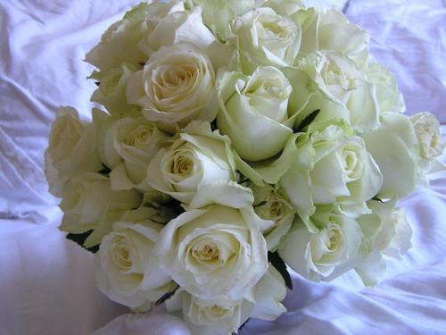 White Rose Bouquet - A beautiful bouquet from white roses