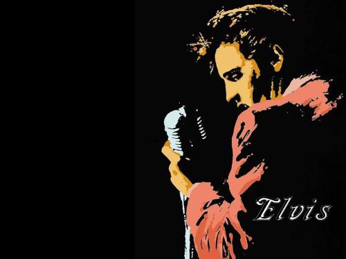 elvis presley - the king of rock and roll
