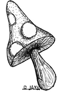 inkshroom - Ink is definitely my favorite medium.