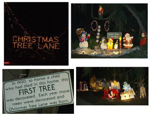 Christmas lights - taken on Christmas Tree Lane
