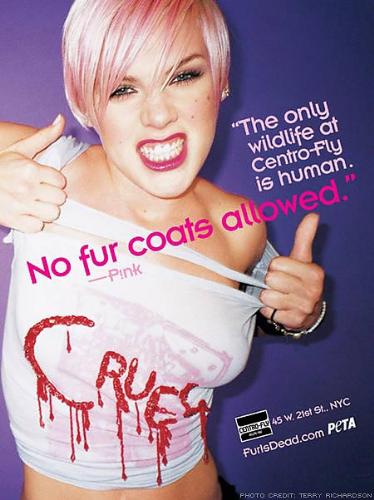 pink - poster