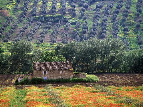 Andalucia, Spain - Andalucia, Spain