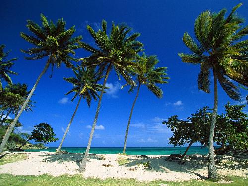 Bacardi Beach, Cayo Levantado, Dominican Republic - Bacardi Beach, Cayo Levantado, Dominican Republic