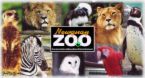 zoo - zoo