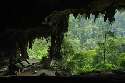 Gua Niah - nice