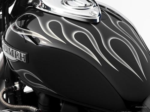 Cruise bike graphix - Fuel tank graphix for triumph