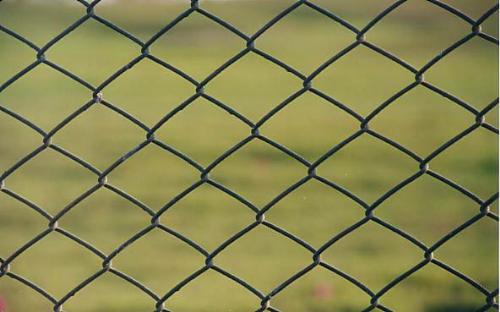 fence - picture on fence