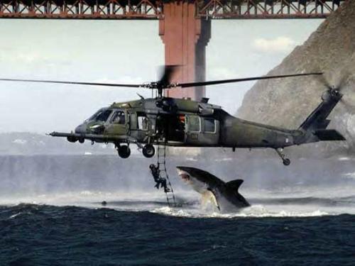 great rescue - jaws